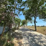 Bán nhà cấp 4, 120m² mặt tiền tại Phan Thiết - Ảnh thu nhỏ 1