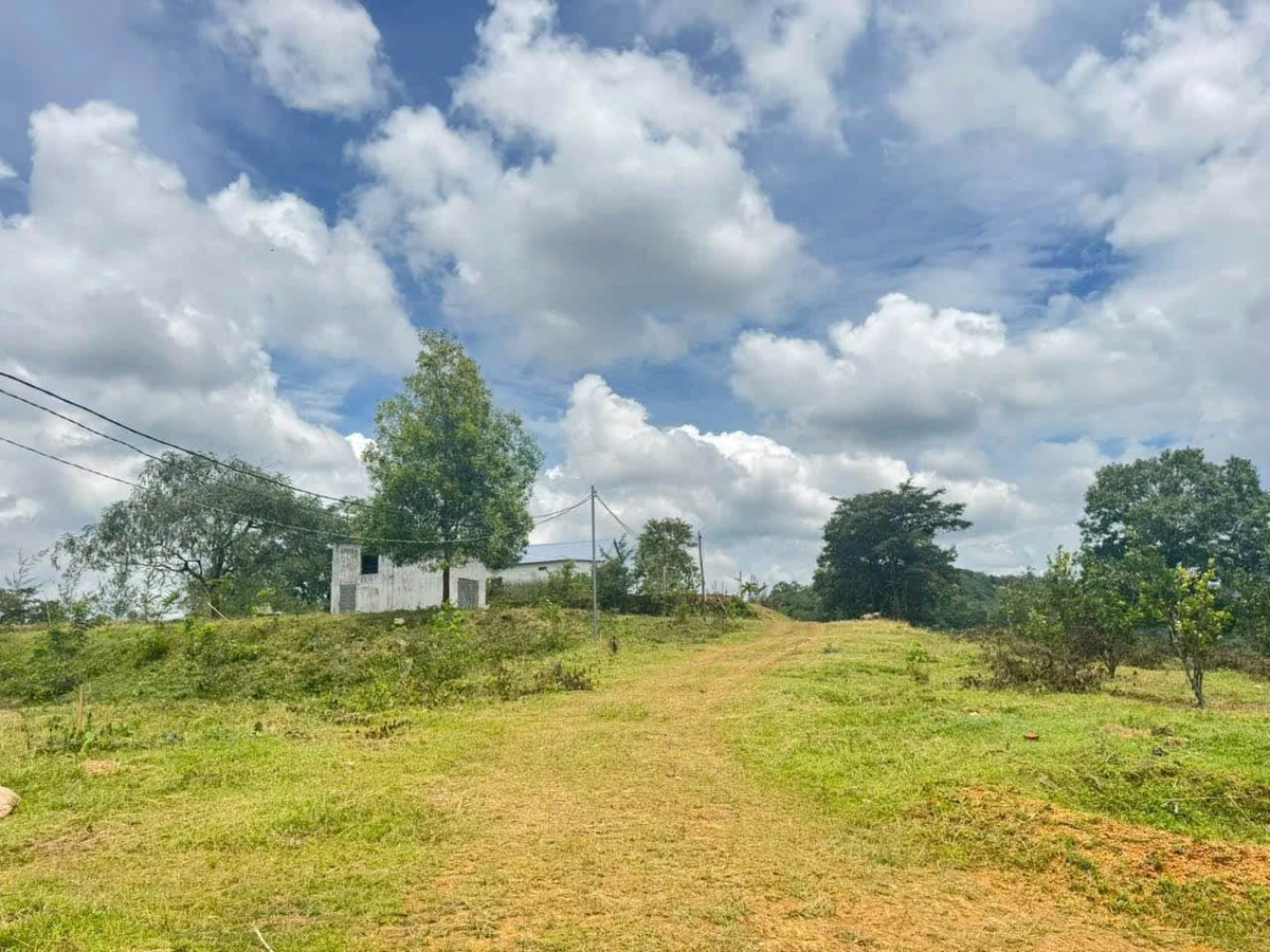 Bán 2ha đất nông nghiệp đường 19/5, view đồi đẹp - Ảnh thu nhỏ 4