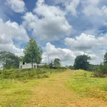 Bán 2ha đất nông nghiệp đường 19/5, view đồi đẹp - Ảnh thu nhỏ 4