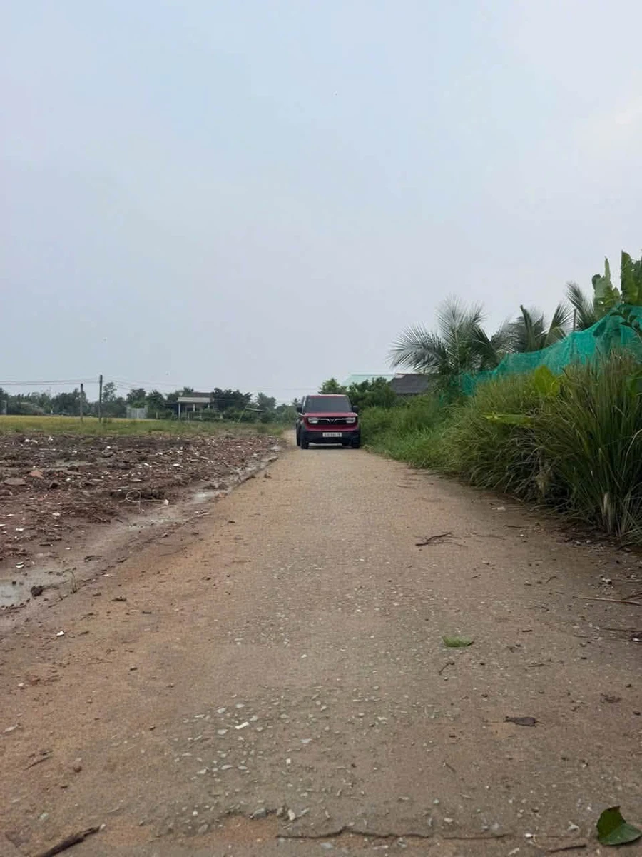 Bán nền đất thổ cư Đức Tân Tân Trụ 82,5m² 259 triệu - Ảnh thu nhỏ 3