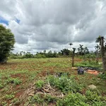Bán 1992m2 đất ngay sau chợ Hoà Thắng, Bình Tân, giá 7,5 tỷ - Ảnh thu nhỏ 2