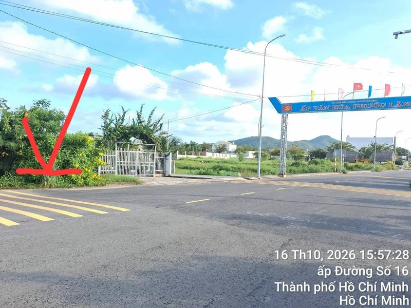 Bán đất mặt tiền 318m2 Tam Phước Long Điền Bà Rịa Vũng Tàu