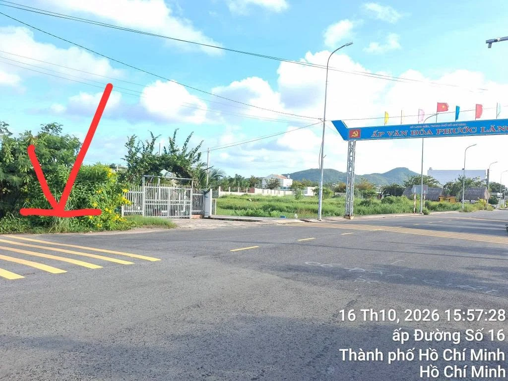 Bán đất mặt tiền 318m2 Tam Phước Long Điền Bà Rịa Vũng Tàu - Ảnh 1