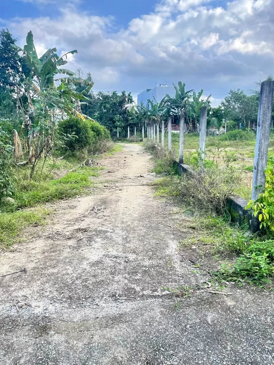 Bán lô nhà vườn 3000m² Bà Nà, Đà Nẵng - Ảnh thu nhỏ 2