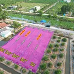 Bán đất thổ cư 186m view sông Thạnh Hoà 390 triệu - Ảnh thu nhỏ 4