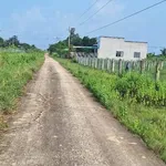 Bán lô đất trồng cây 1149m2 Hàm Liêm, Lâm Đồng - Ảnh thu nhỏ 1
