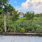 Bán đất vườn 489m² Mỹ Lộc Phước Hậu Tây Ninh 1tỷ 400 triệu - Ảnh thu nhỏ 4