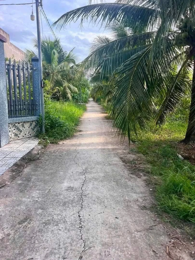Bán 1046m² đất Châu Hưng, Bình Đại, Bến Tre 680 triệu - Ảnh 1