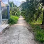Bán 1046m² đất Châu Hưng, Bình Đại, Bến Tre 680 triệu - Ảnh thu nhỏ 1