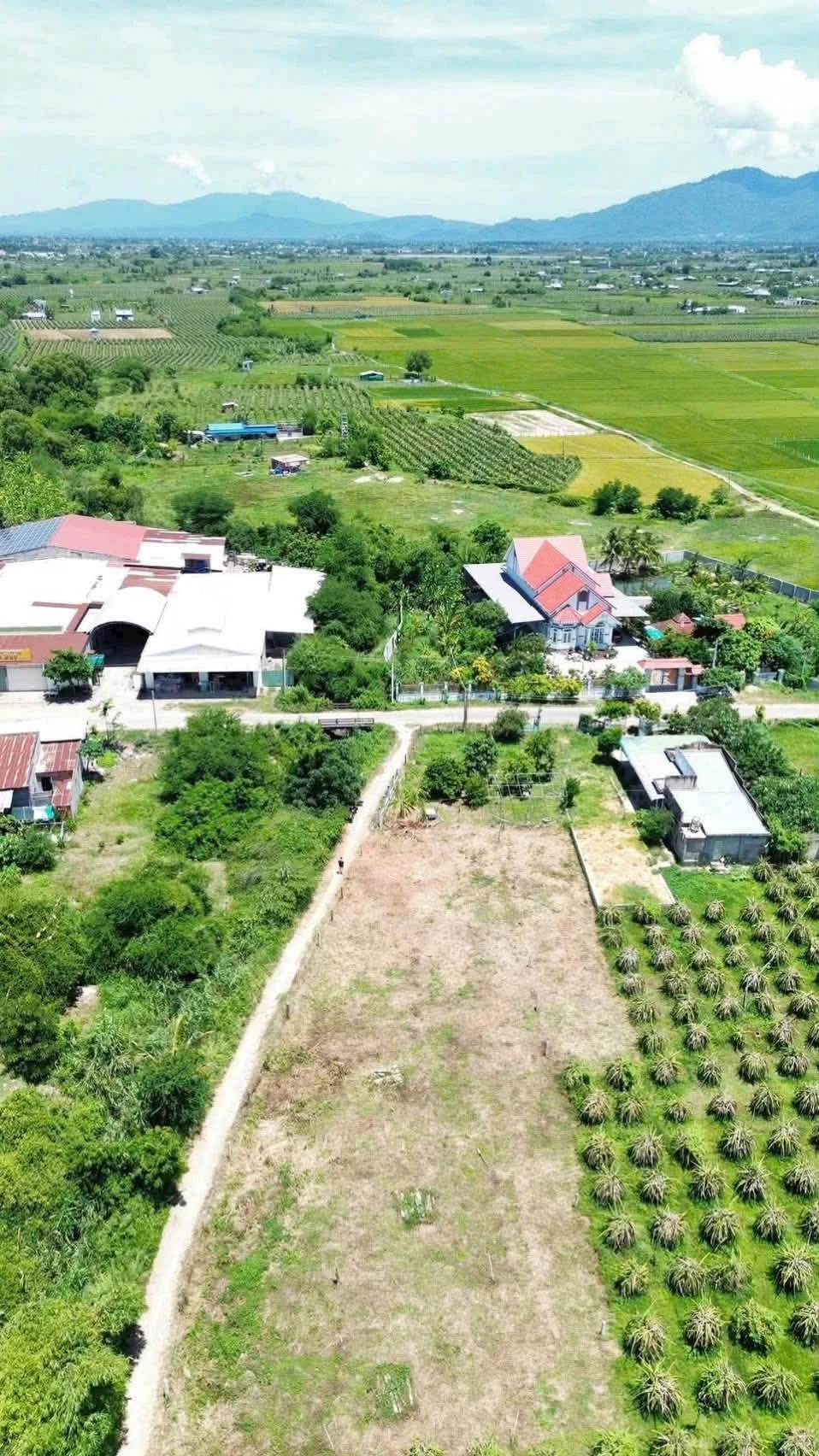 Bán đất 1,2 sào mặt tiền Hàm Liêm 1,68 tỷ Hóc Môn - Ảnh 1