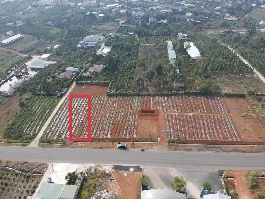 Bán đất mặt tiền Phan Đình Phùng Bảo Lộc 100m2 1.8 tỷ - Ảnh 1