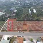 Bán đất mặt tiền Phan Đình Phùng Bảo Lộc 100m2 1.8 tỷ - Ảnh thu nhỏ 1