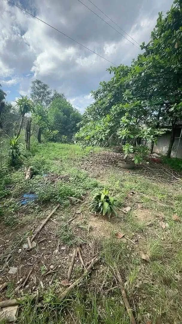 Bán lô đất hẻm An Nhơn 270m² giá 300 triệu - Ảnh 1