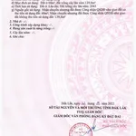 Bán đất 200m² Cư Kuin Bình Dương 899 triệu - Ảnh thu nhỏ 2