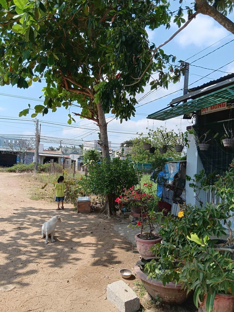 Bán lô đất 147m² full thổ cư KDC Vạn Phước Khánh Hòa - Ảnh thu nhỏ 4