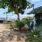 Bán lô đất 147m² full thổ cư KDC Vạn Phước Khánh Hòa - Ảnh thu nhỏ 4