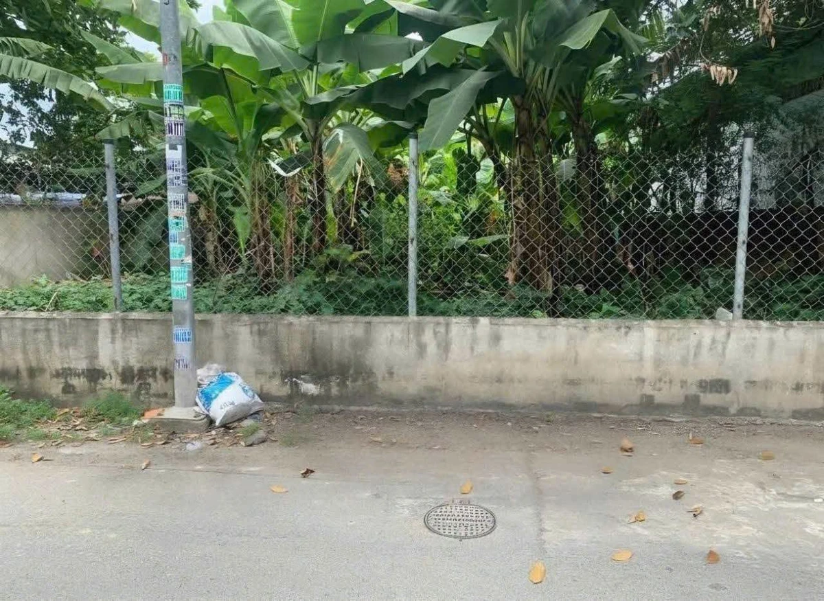 Bán đất mặt tiền 279m² Lái Thiêu Thuận An Bình Dương 7 tỷ - Ảnh thu nhỏ 3