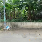 Bán đất mặt tiền 279m² Lái Thiêu Thuận An Bình Dương 7 tỷ - Ảnh thu nhỏ 3