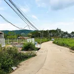 Bán đất 160m² từ 700 triệu ở Lâm Hà, Lâm Đồng - Ảnh thu nhỏ 3