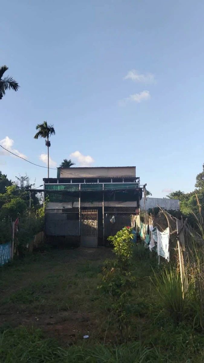 Bán đất Bình Chánh Tân An 110m2, giá 1.25 tỷ - Ảnh thu nhỏ 4