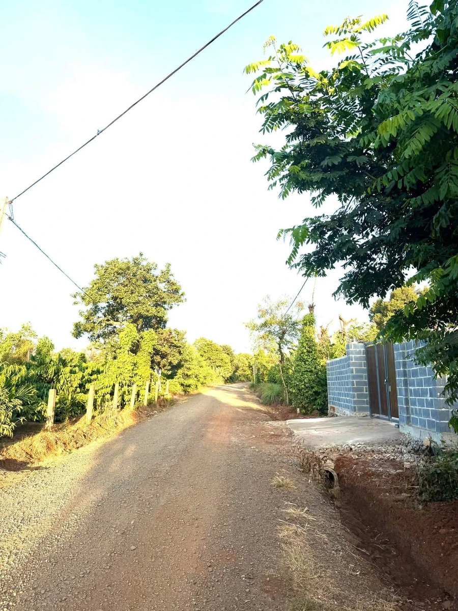 Bán nhà vườn 508m2 Phường Bình Mỹ Tây 2,5 tỷ - Ảnh 1
