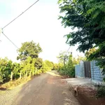 Bán nhà vườn 508m2 Phường Bình Mỹ Tây 2,5 tỷ - Ảnh thu nhỏ 1