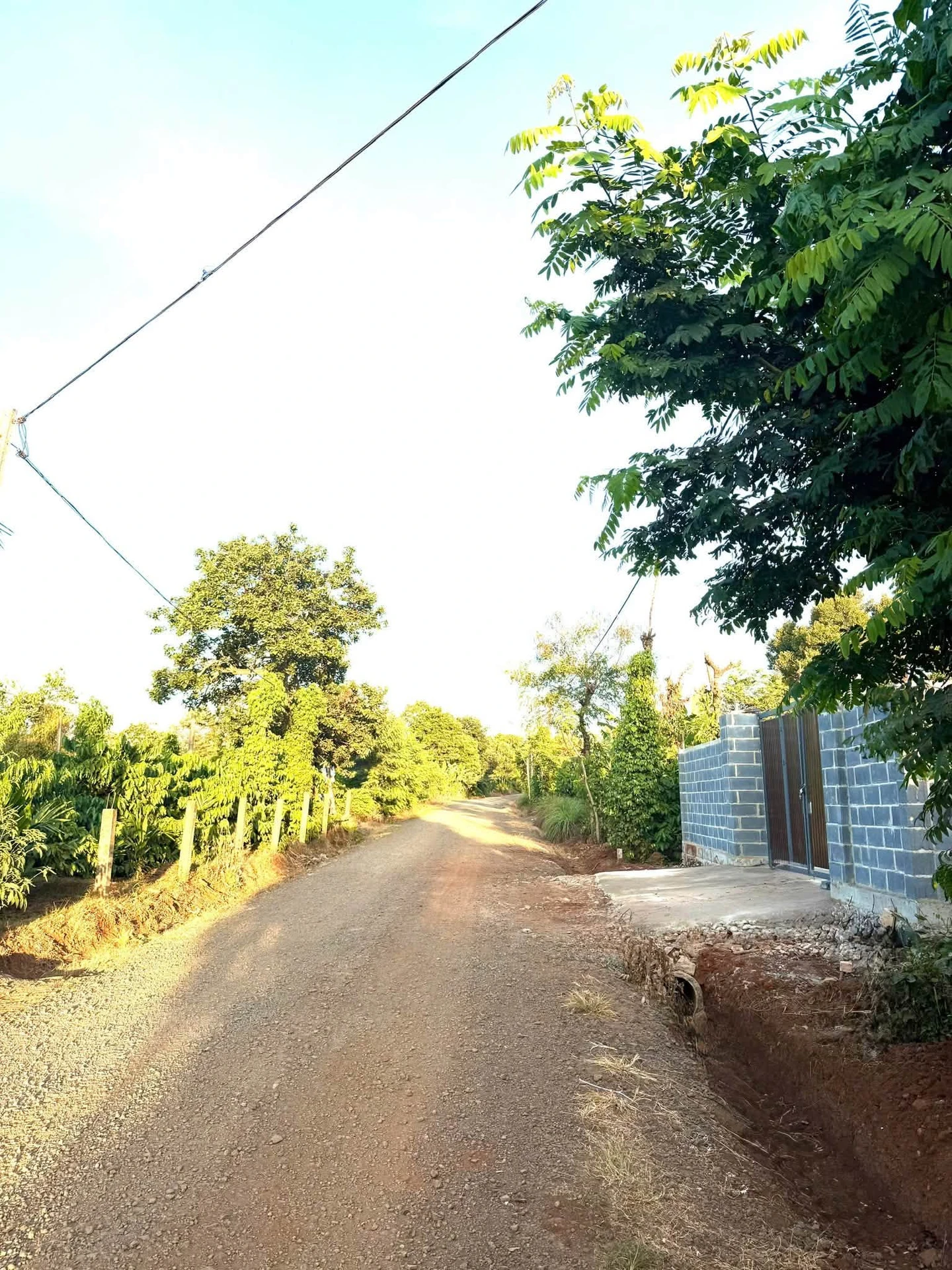 Bán nhà vườn 508m2 Phường Bình Mỹ Tây 2,5 tỷ - Ảnh 1