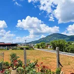 Bán đất 100m² tại Đèo Prenn Đà Lạt từ 950 triệu - Ảnh thu nhỏ 1