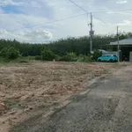 Bán đất sát nhựa Cây Da Hiệp Thạnh Gò Dầu Tây Ninh 97,5m² - Ảnh thu nhỏ 2