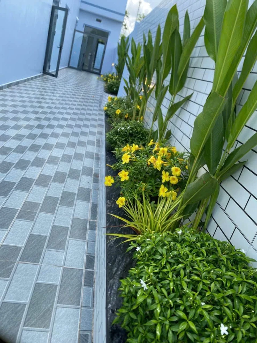 Bán nhà sân vườn 400m² 3 phòng ngủ Cần Giuộc Long An 3 tỷ 7 - Ảnh thu nhỏ 4