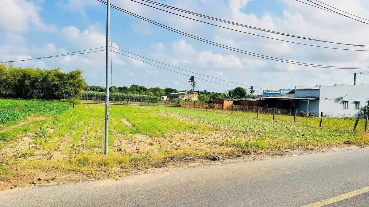 Bán đất 1034m² Phước Hải Khánh Hòa 4.5 tỷ gần biển 5km - Ảnh thu nhỏ 2