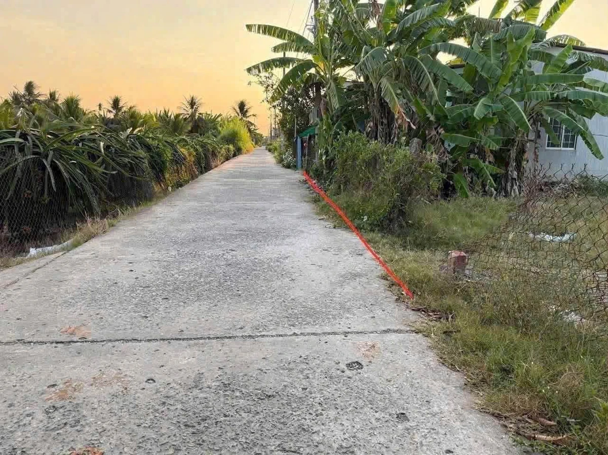 Bán 1100m² đất lúa + 150m² thổ cư Châu Thành Long An - Ảnh thu nhỏ 2