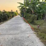 Bán 1100m² đất lúa + 150m² thổ cư Châu Thành Long An - Ảnh thu nhỏ 2