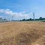Bán đất nhà vườn 1130m2 view cánh đồng gần biển Phước Hải - Ảnh thu nhỏ 3
