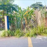 Bán lô đất thổ cư 77m2 đường nhựa nhánh đường Bà 39, Phú An giá 1,26 tỷ - Ảnh thu nhỏ 1