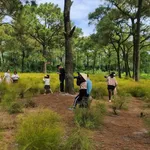 Bán đất nghỉ dưỡng 2600m² gần chùa Côn Sơn, Hải Phòng - Ảnh thu nhỏ 3