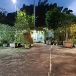 Cần bán gấp mặt phố Trần Huy Liệu cạnh chợ Mộc Châu dt 1450m2 phù hợp xây khách sạn resort SĐCC - Ảnh thu nhỏ 3
