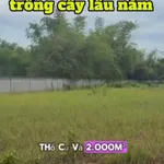 Bán đất 2.600m² Đức Hoà Long An, mặt tiền tỉnh lộ 822 - Ảnh thu nhỏ 4