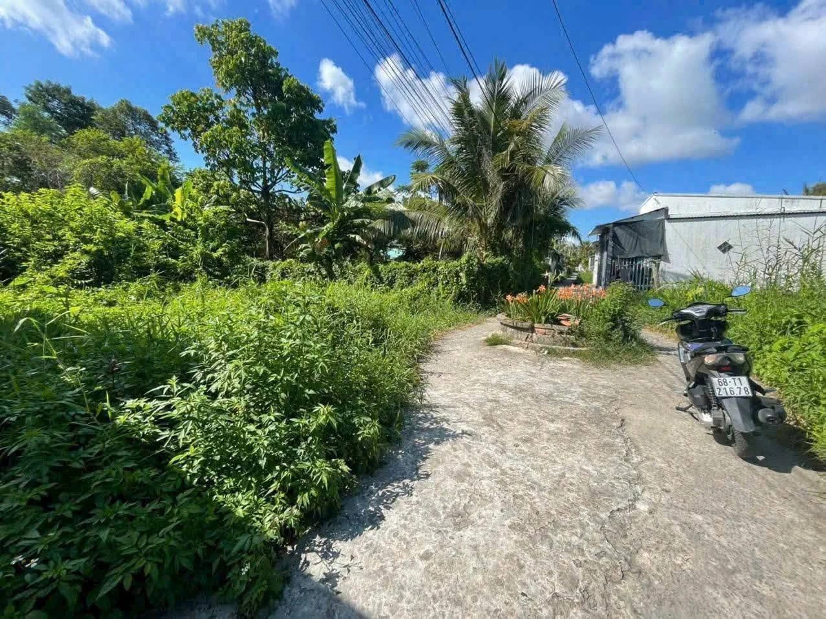 Bán đất nền 105m² Kiên Giang 260 triệu - Ảnh thu nhỏ 2