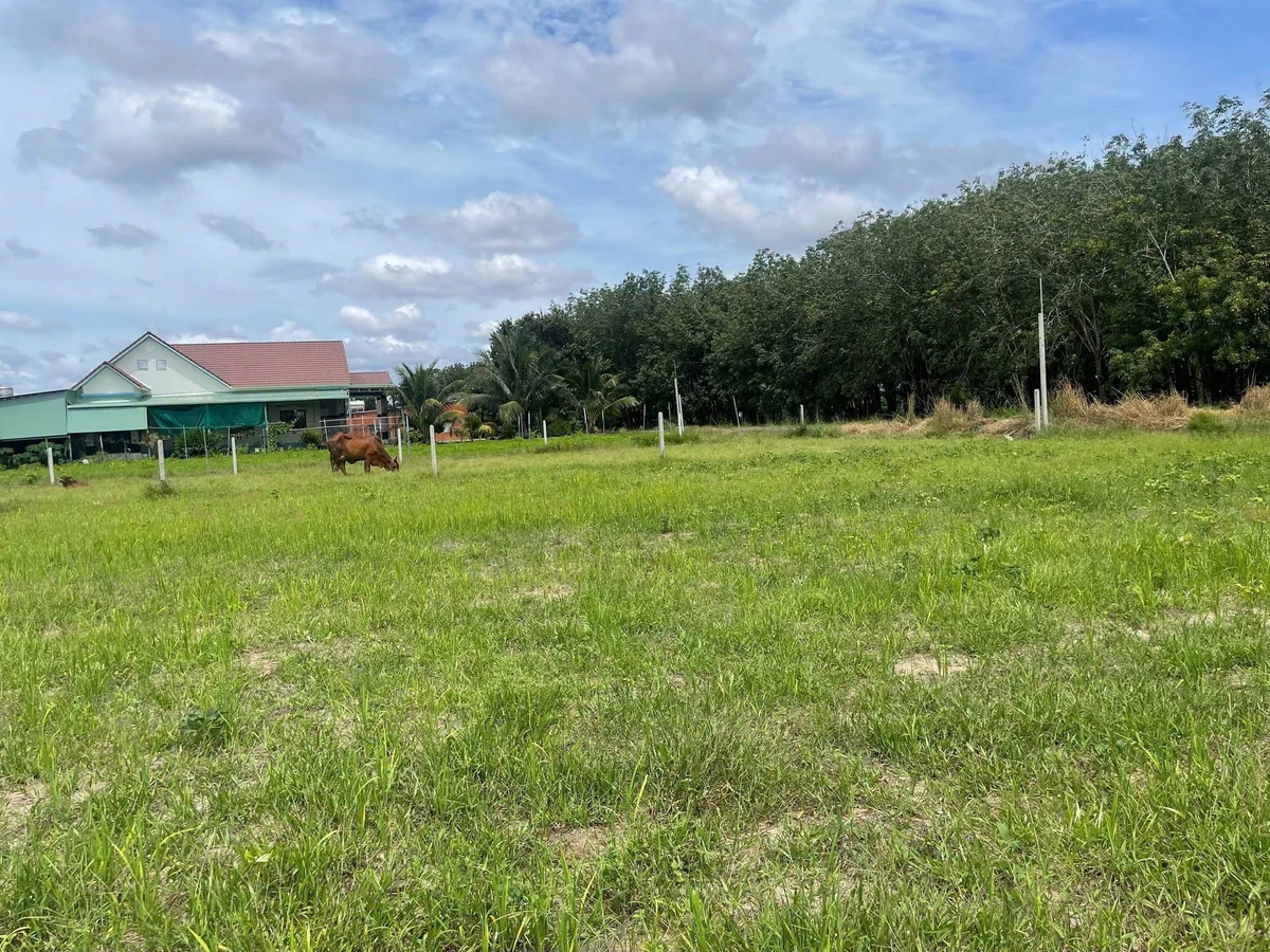 Bán đất 500m² giá 280 triệu, nở hậu, view Núi Bà tại Phường Bình Minh, Tây Ninh - Ảnh thu nhỏ 3