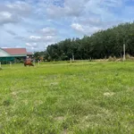 Bán đất 500m² giá 280 triệu, nở hậu, view Núi Bà tại Phường Bình Minh, Tây Ninh - Ảnh thu nhỏ 3