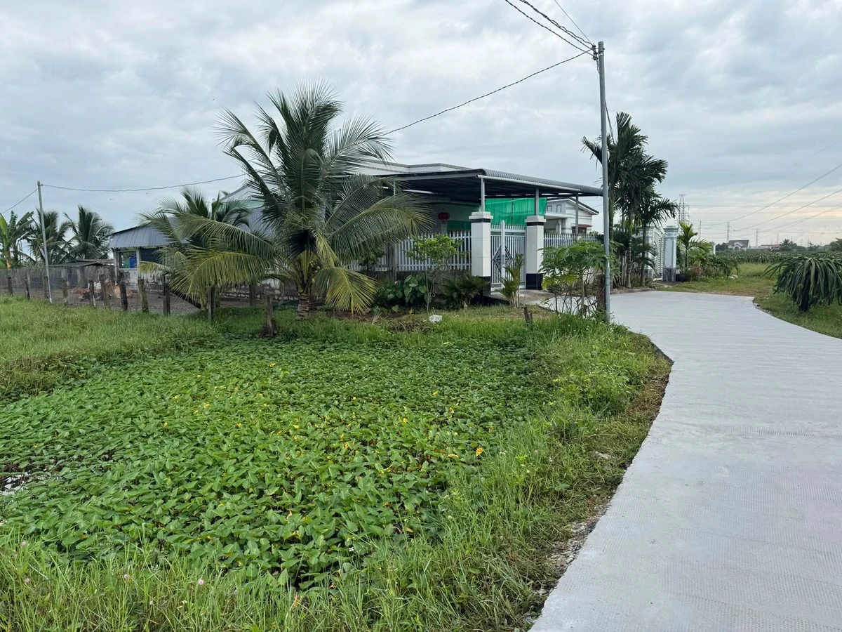 Bán lô đất 260m2 ở Lâm Đồng, giá 1 tỷ 190 triệu - Ảnh thu nhỏ 5