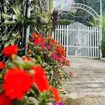Bán nhà hẻm Yết Kiêu, 171m², Đà Lạt, 10 tỷ - Ảnh thu nhỏ 3