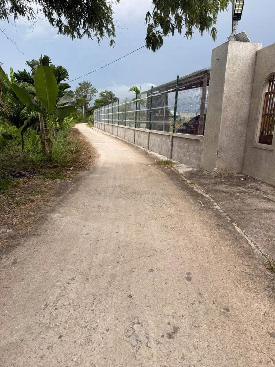 Bán 1.200m² đất thổ cư và cây trồng Bình Thuận - Ảnh 1