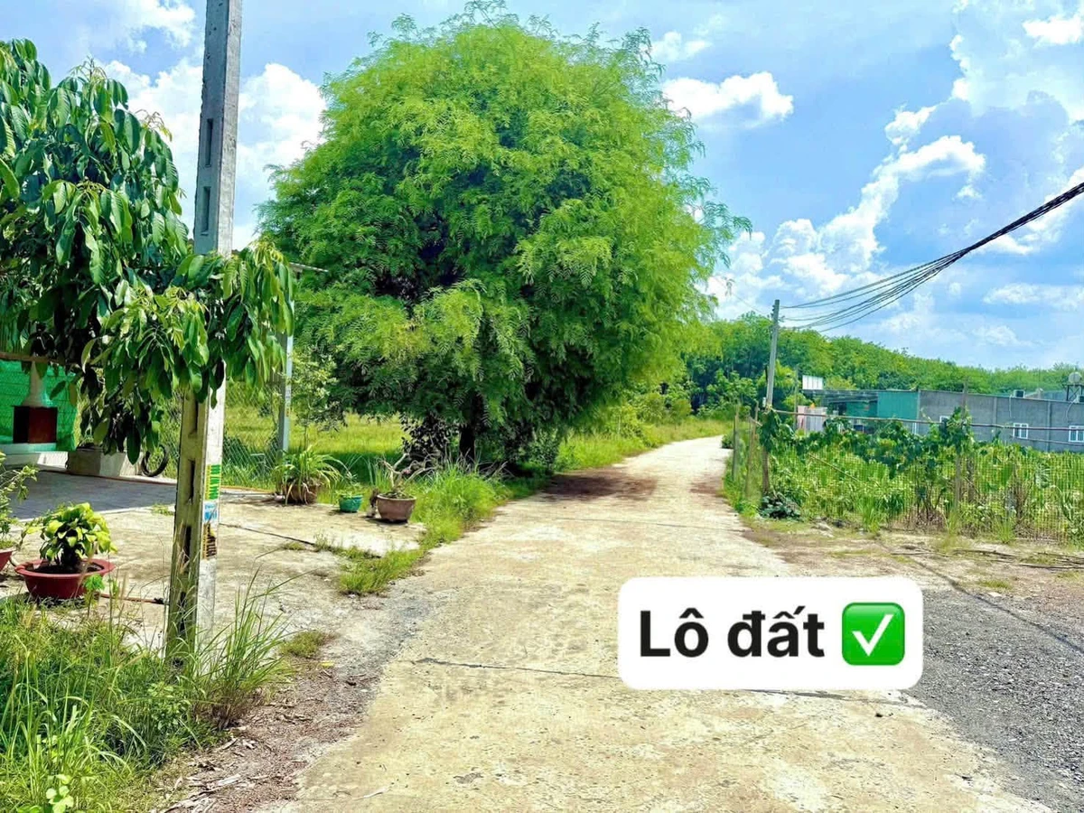 Bán đất 5m² Chơn Thành, Bình Dương 3 tỷ - Ảnh thu nhỏ 2