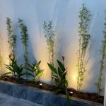 Nhà bán 5x24m (120m²) KP2 Trảng Dài, 3,55 tỷ - Ảnh thu nhỏ 5