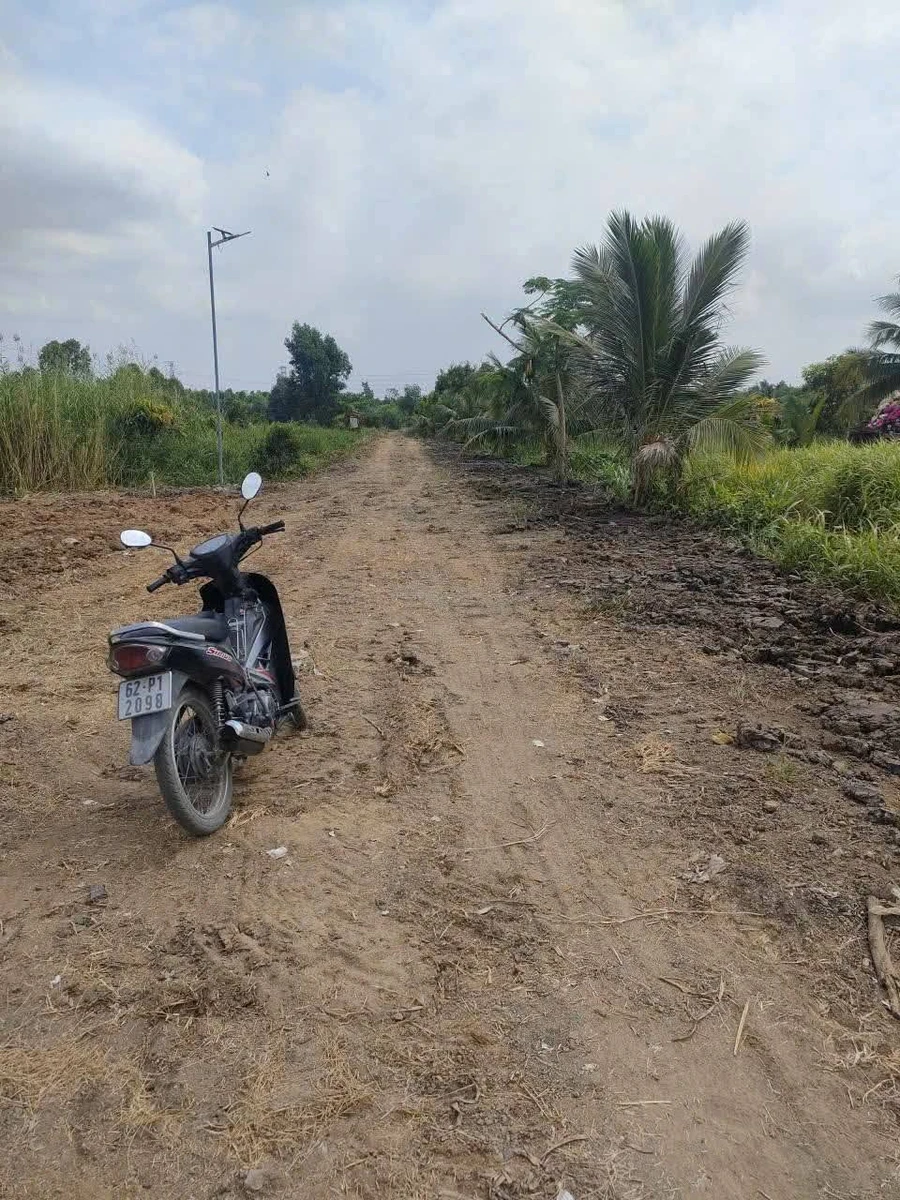 Bán nền đất 168m2 đường ôtô tại Đức Hòa, Tây Ninh 590 triệu - Ảnh thu nhỏ 4