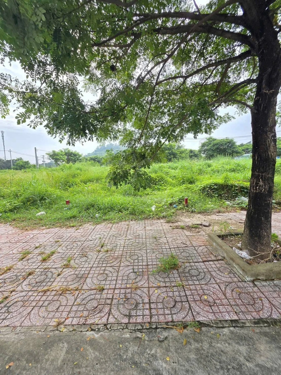 Bán đất 2 mặt tiền 100m2 Thủ Đức 4,7 tỷ - Ảnh thu nhỏ 5