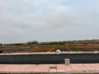 Em chính chủ gửi bán gấp đất biển Hải Xuân, Ninh Bình cạnh homestay, nhà hàng ICM chỉ 16tr/m2 - Ảnh thu nhỏ 5