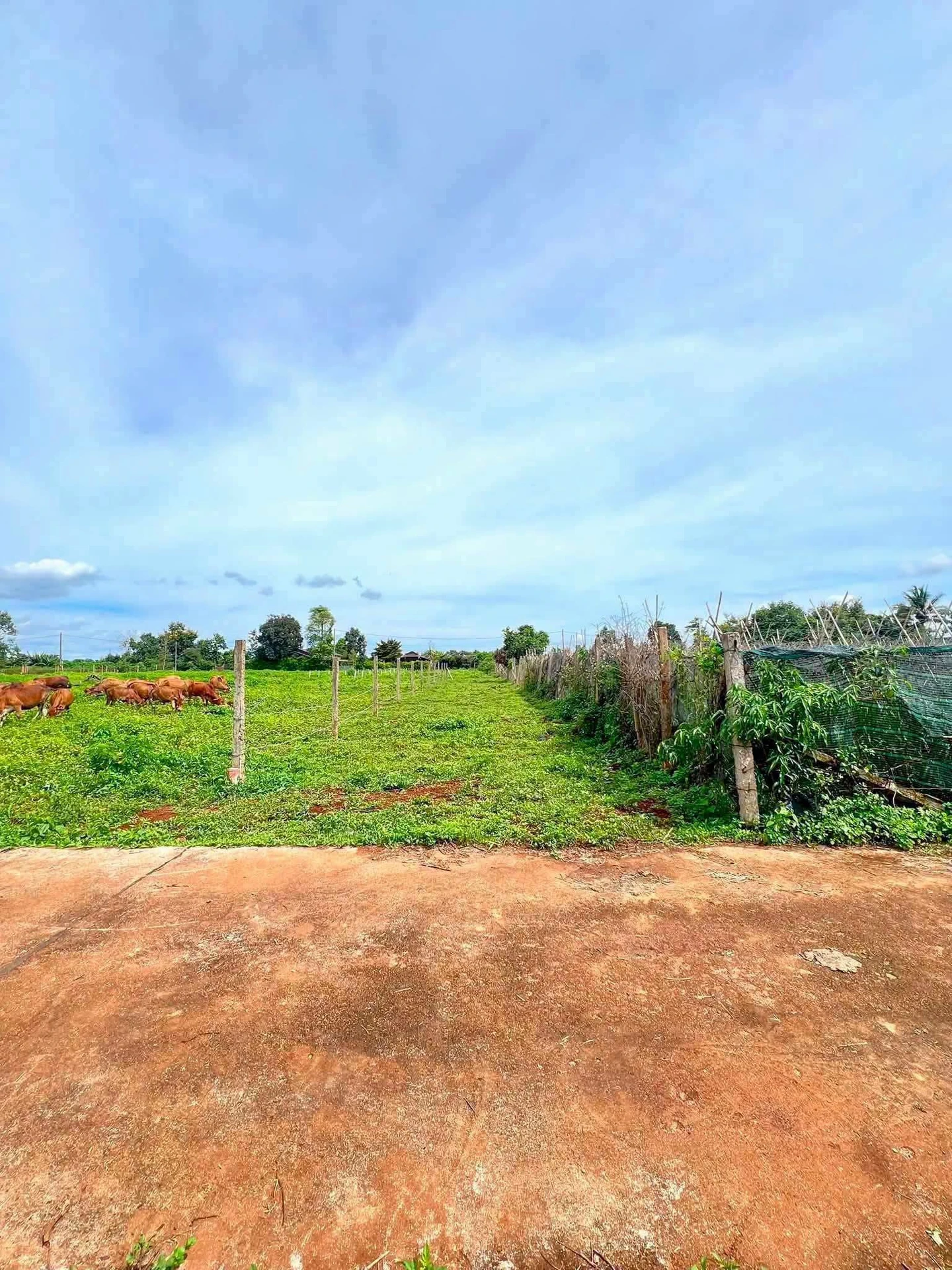 Bán đất 266m² đường Trương Định, Phường An Phú, 620 triệu - Ảnh 1